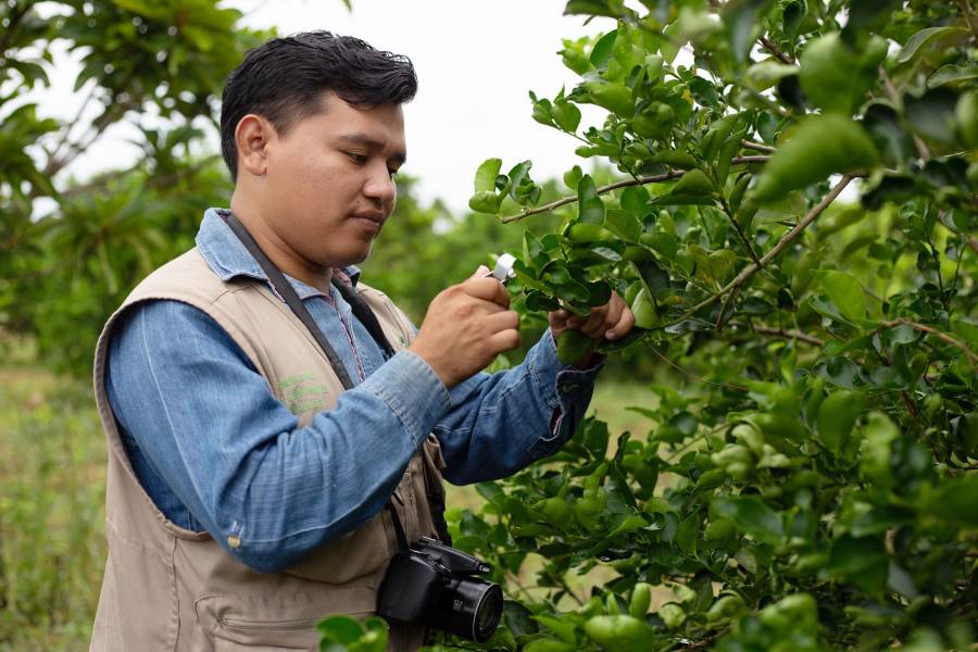 Conmemora Agricultura el 120 aniversario del inicio del manejo fitosanitario en México