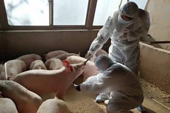 China alerta sobre otro virus gripal  que podr&iacute;a convertirse en pandemia