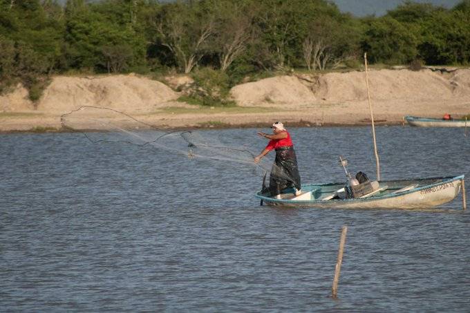 Siembra Conapesca un millón de crías de tilapia en la presa el Comedero
