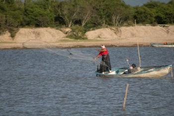 Siembra Conapesca un millón de crías de tilapia en la presa el Comedero