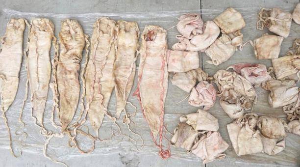 Guardias nacionales aseguran env&iacute;o de buche de totoaba y pepino de mar con destino a Tamaulipas