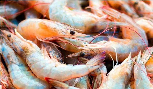 China detecta Covid-19 en camarones; suspende importación