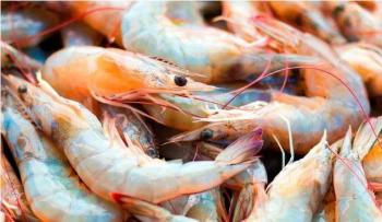 China detecta Covid-19 en camarones; suspende importaci&oacute;n