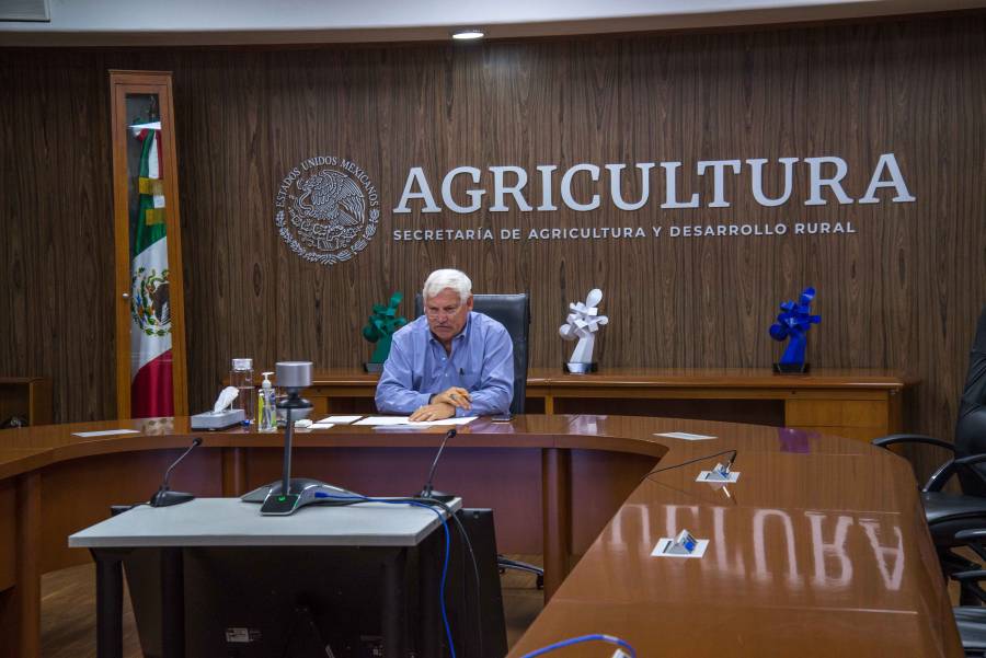 Agricultura y sector hortícola desarrollan medidas para mejorar condiciones laborales