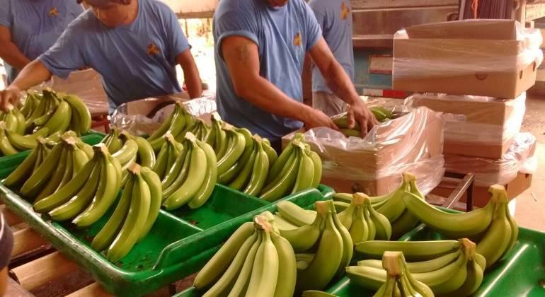 Inspecciona Sader más de 500 mil cargamentos agropecuarios para disminuir riesgo