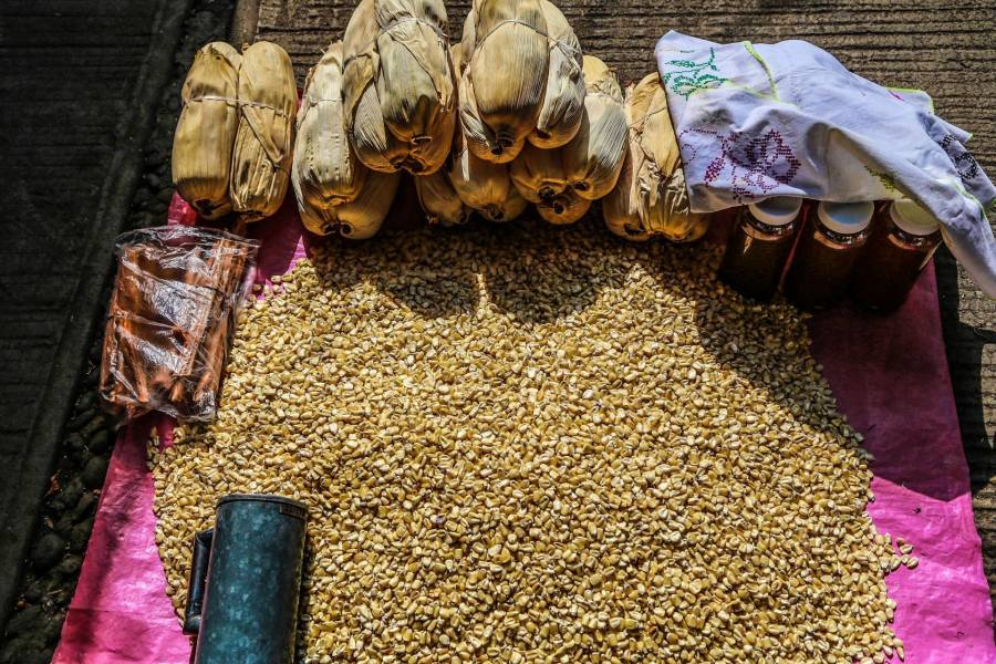Maseca producir&aacute; ma&iacute;z sustentable junto al Inifap