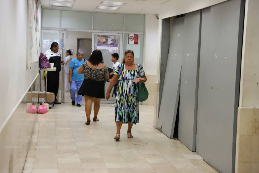 Trabajadores Independientes tendrán seguridad social: IMSS