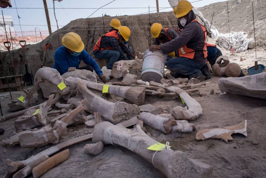Por sustracci&oacute;n de archivos hist&oacute;ricos INAH inicia demanda