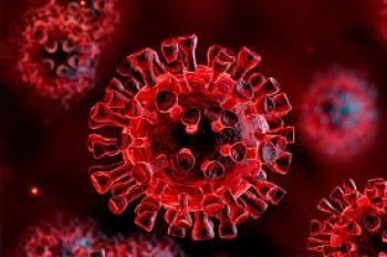 Descubren 7 nuevos s&iacute;ntomas del coronavirus