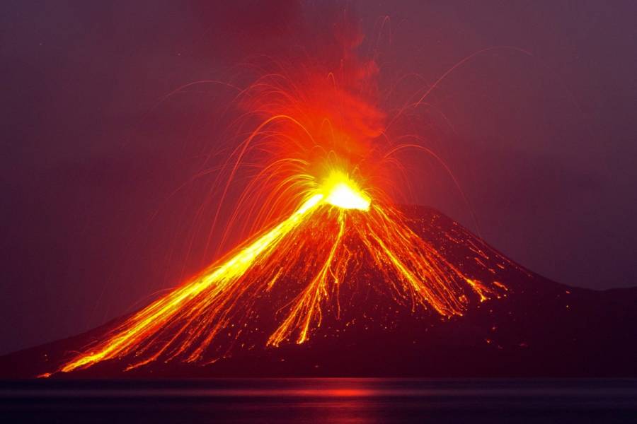 Erupciones volc&aacute;nicas, clave en la din&aacute;mica de los ecosistemas