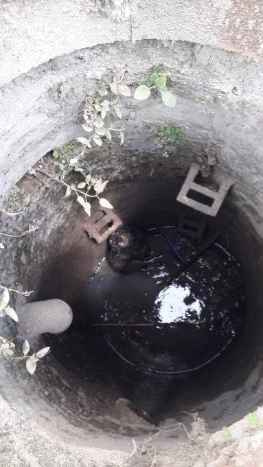 En Xochimilco recatan a perro que cayó en una barranca