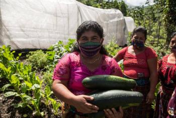 Ind&iacute;genas, blanco de la  pandemia en Am&eacute;rica: OMS