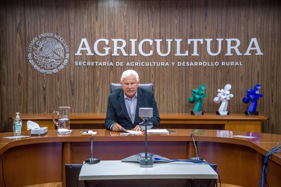 Pesca y acuacultura nacional mejorará ingresos de los productores