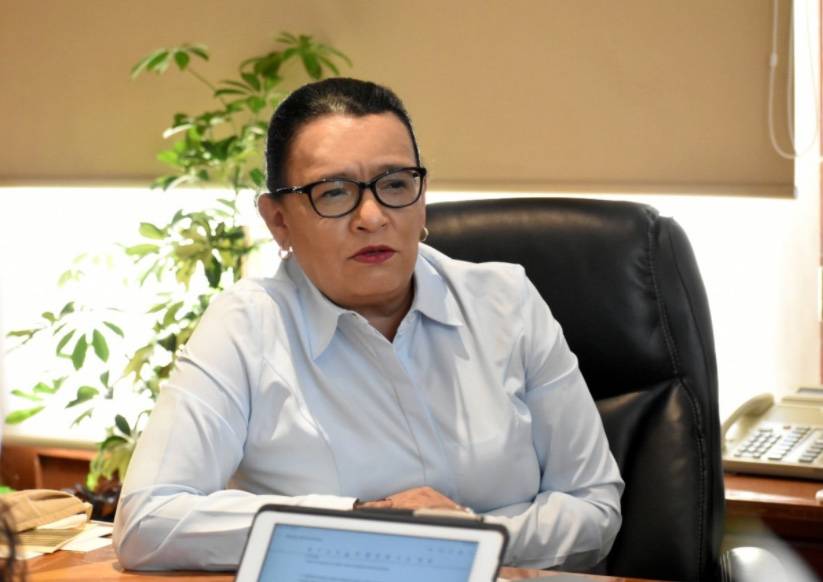 Perfil de Rosa Icela Rodríguez