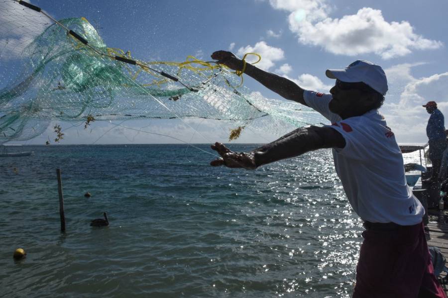 Conapesca presenta denuncias por irregularidades en el Programa BienPesca