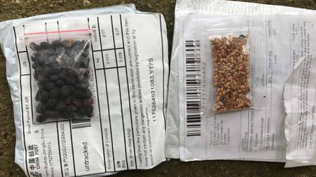 Semillas provenientes de China fueron identificadas por gobierno estadounidense