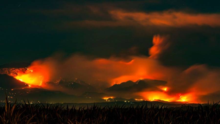 Desalojan a m&aacute;s de 7 mil personas por incendio forestal en California