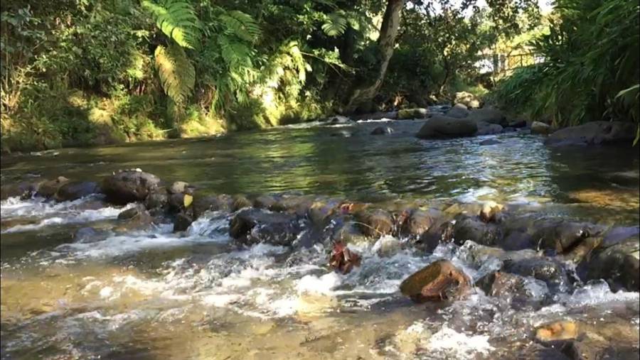 Localizan cuerpo de menor arrastrada por río en Coatepec, Veracruz