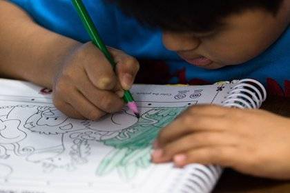 Cómo consultar resultados de educación básica: EdoMex