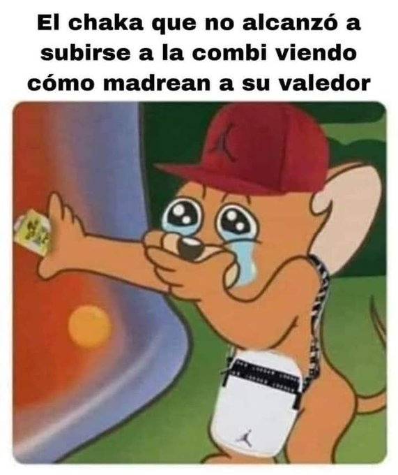 Los mejores memes de la paliza al ratero de la combi en EdoMex