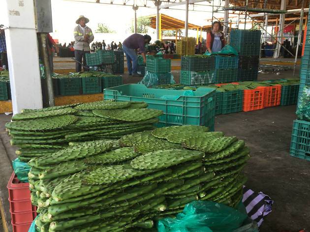 PRODUCTORES DE NOPAL RECIBEN AYUDA DE 11 MIL 500 PESOS POR CRISIS ANTE PANDEMIA
