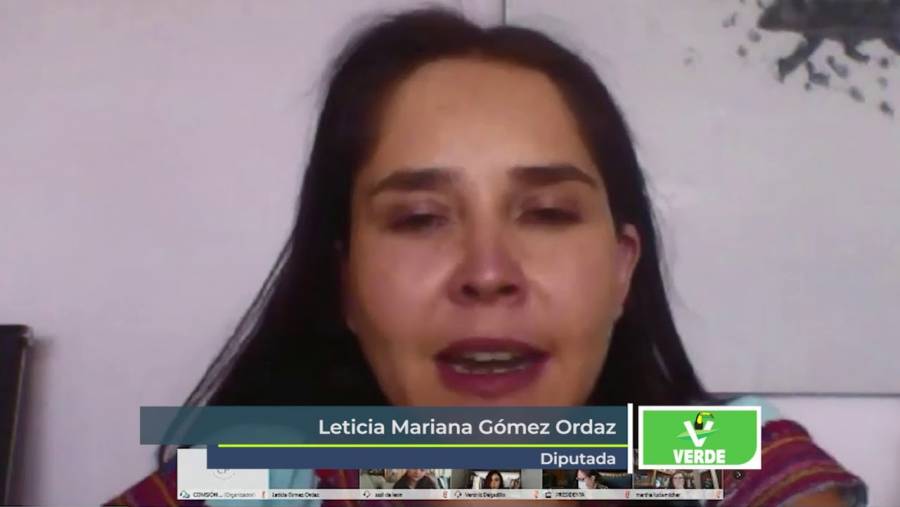 PVEM solicita apoyo para atletas de alto rendimiento