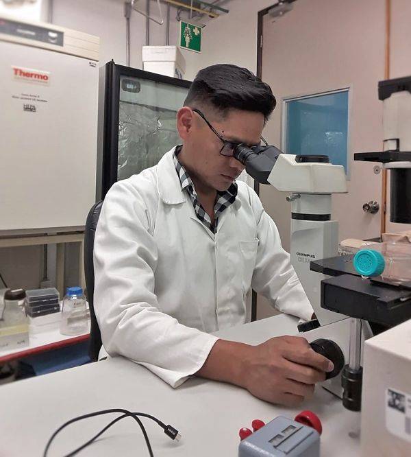 Obtiene IPN patente de p&eacute;ptidos antivirales para tratar cualquier tipo de influenza