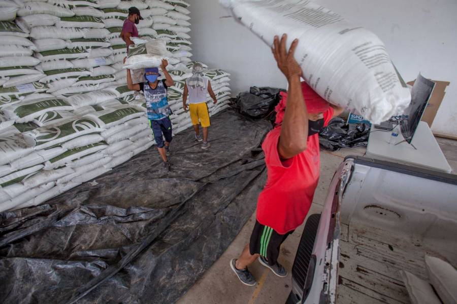 Balance del programa Fertilizantes para el Bienestar de Guerrero