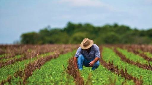 Fortalece Agricultura vinculación con productores de menor escala