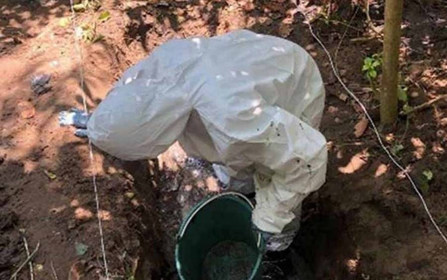 Continúan labores de exhumación en fosas clandestinas en Colima; localizan 32 cuerpos