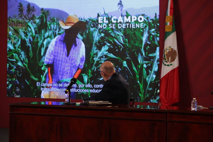 Agricultura promueve procesos productivos para la recuperación y conservación de suelos agrícolas