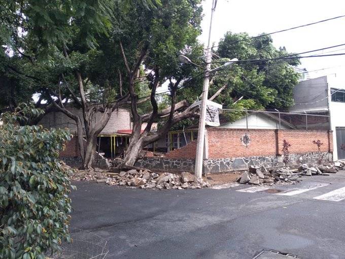 Árbol de 15 metros cae sobre casa en Coyoacán
