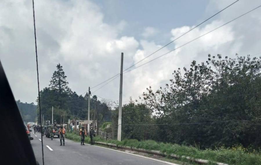 Recuperan zona boscosa en cuajimalpa