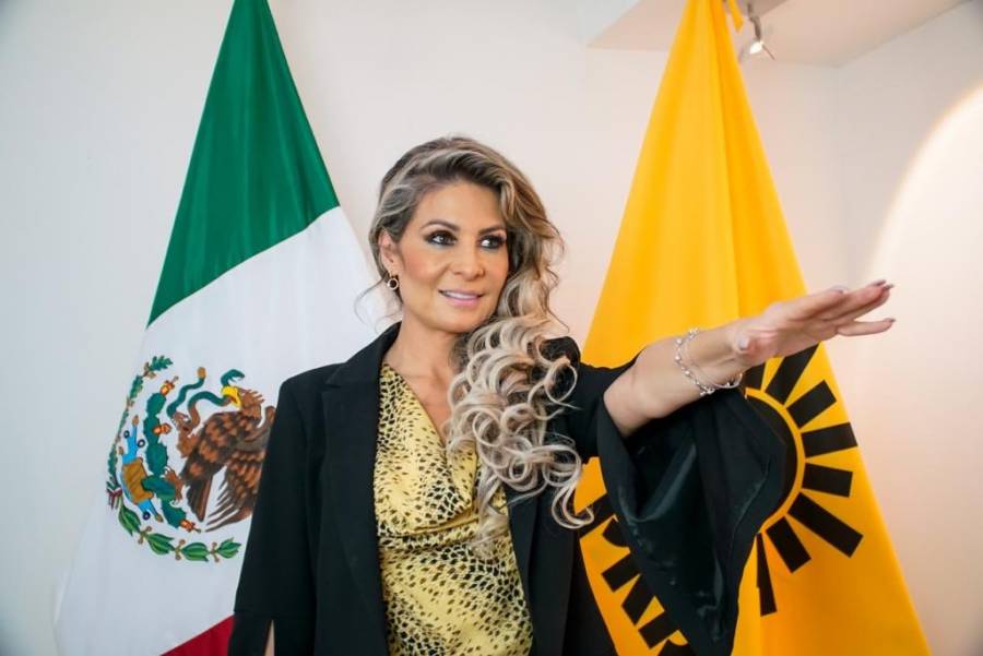 PRD está firme y unido en defensa de los derechos y libertades: Nora Arias