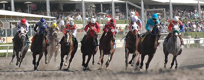 Retomará el Hipódromo de las Américas sus actividades el próximo lunes