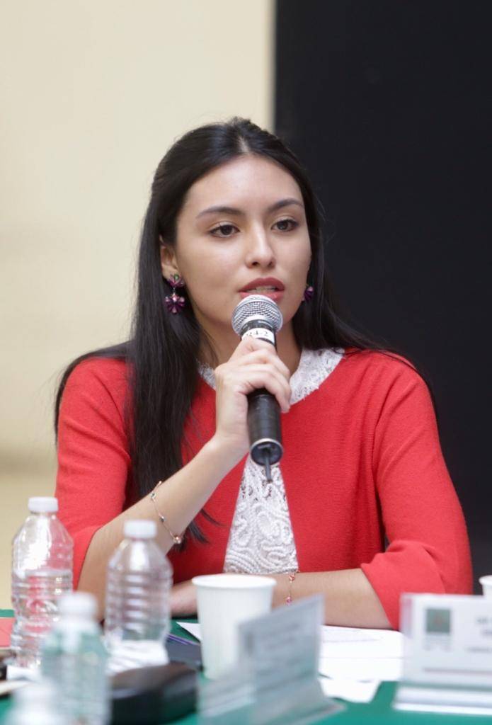 SFP debe investigar desvío de recursos del Insabi para compra de boletos de rifa de avión: Frida Esparza