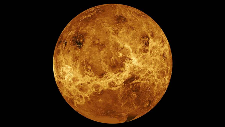 Astrónomos detectan posible indicio de vida en Venus