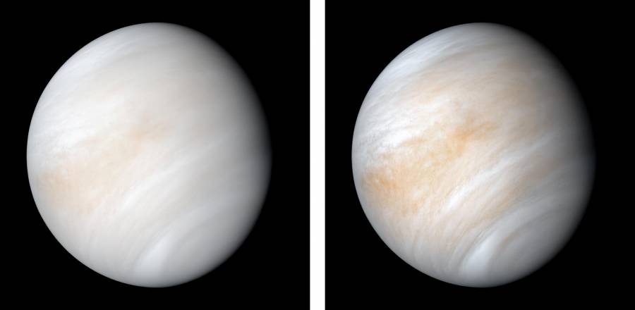 Hallan posibles indicios  de vida… en Venus