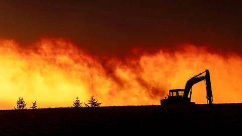 Niño muere abrazado de su perro durante los incendios en Estados Unidos