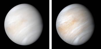 Hallan posibles indicios  de vida… en Venus