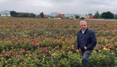 “Esto es México”, dice AMLO al mostrar rosal en Atlixco