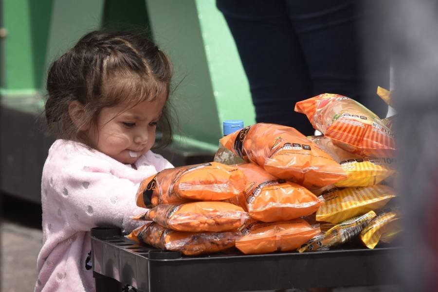 PVEM Y MORENA PRESENTAN INICIATIVA PARA PROHIBIR LA VENTA DE COMIDA “CHATARRA” A MENORES DE EDAD