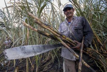 Derecho al consumo b&aacute;sico de az&uacute;car coartado por datos falsos