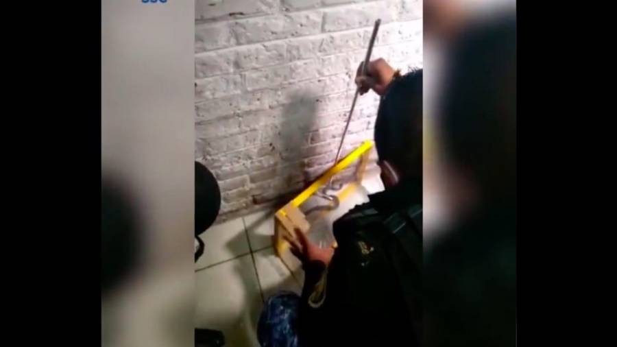 Video: V&iacute;bora de cascabel muerde a paciente en hospital de la alcald&iacute;a Tl&aacute;huac