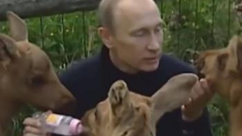 Vladimir Putin alimenta a beb&eacute;s de alce y se hace viral