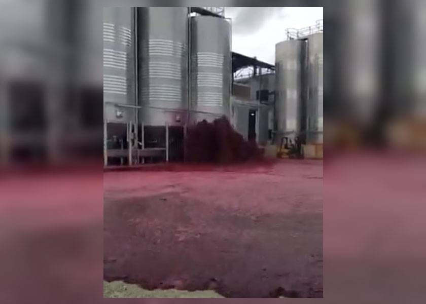 Miles de litros de vino se derraman tras reventarse un depósito en España [Video]