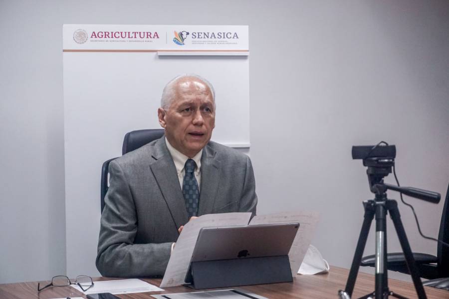 Anuncian Agricultura y tiendas de autoservicio, convenio para comercializar alimentos agrícolas