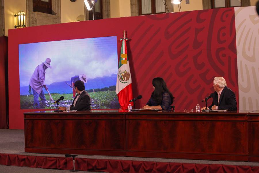 Agricultura: Abasto de ma&iacute;z para consumo humano garantizado