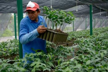 México comparte programas sociales en Centroamérica; busca hacer frente a la crisis migratoria