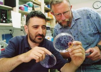 Cient&iacute;ficos que identificaron hepatitis C ganan Nobel de Medicina 2020